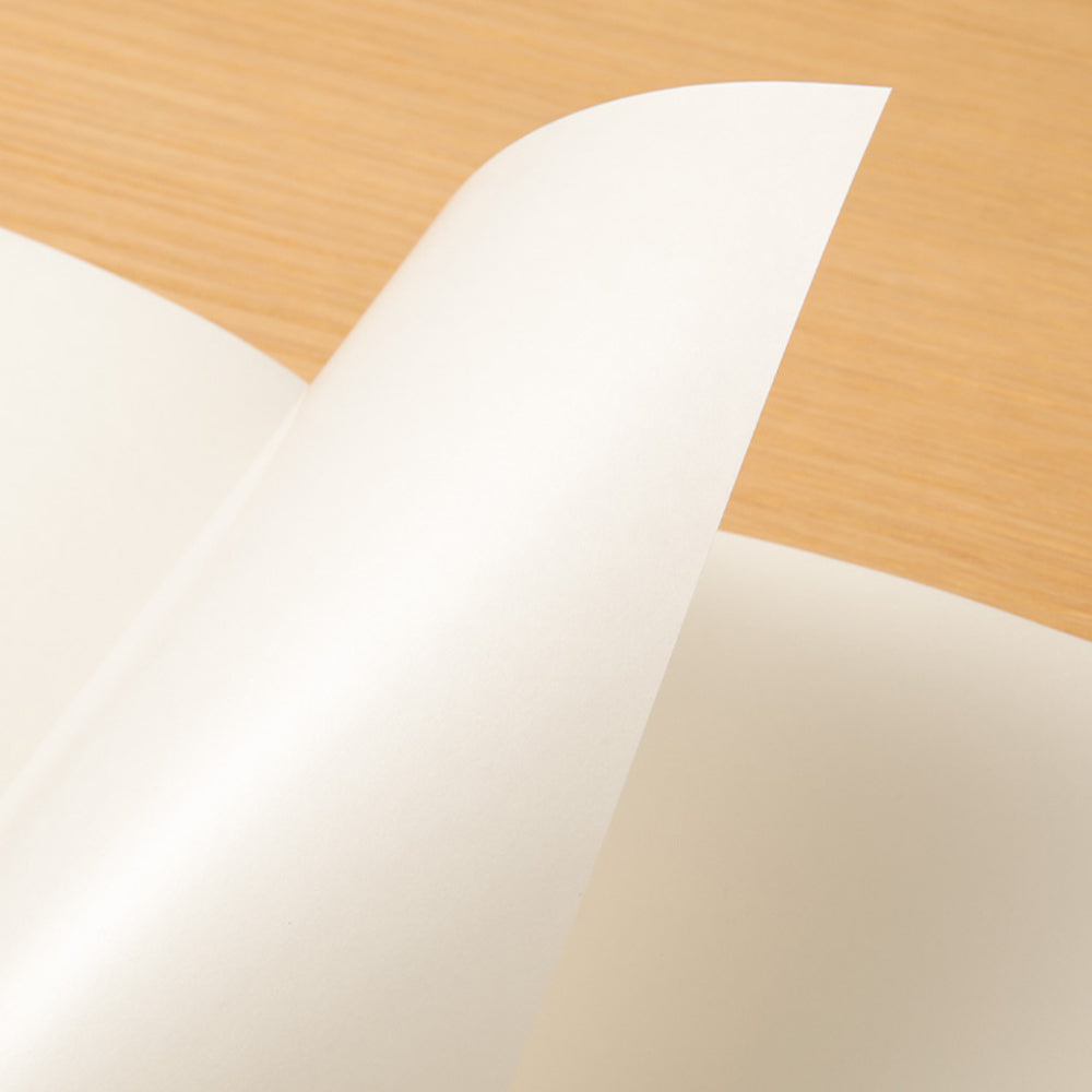 B-237 | TRAVELER'S COMPANY TRAVELER'S notebook [031] 貼紙本 (Regular Size)