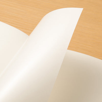 B-237 | TRAVELER'S COMPANY TRAVELER'S notebook [031] 貼紙本 (Regular Size)