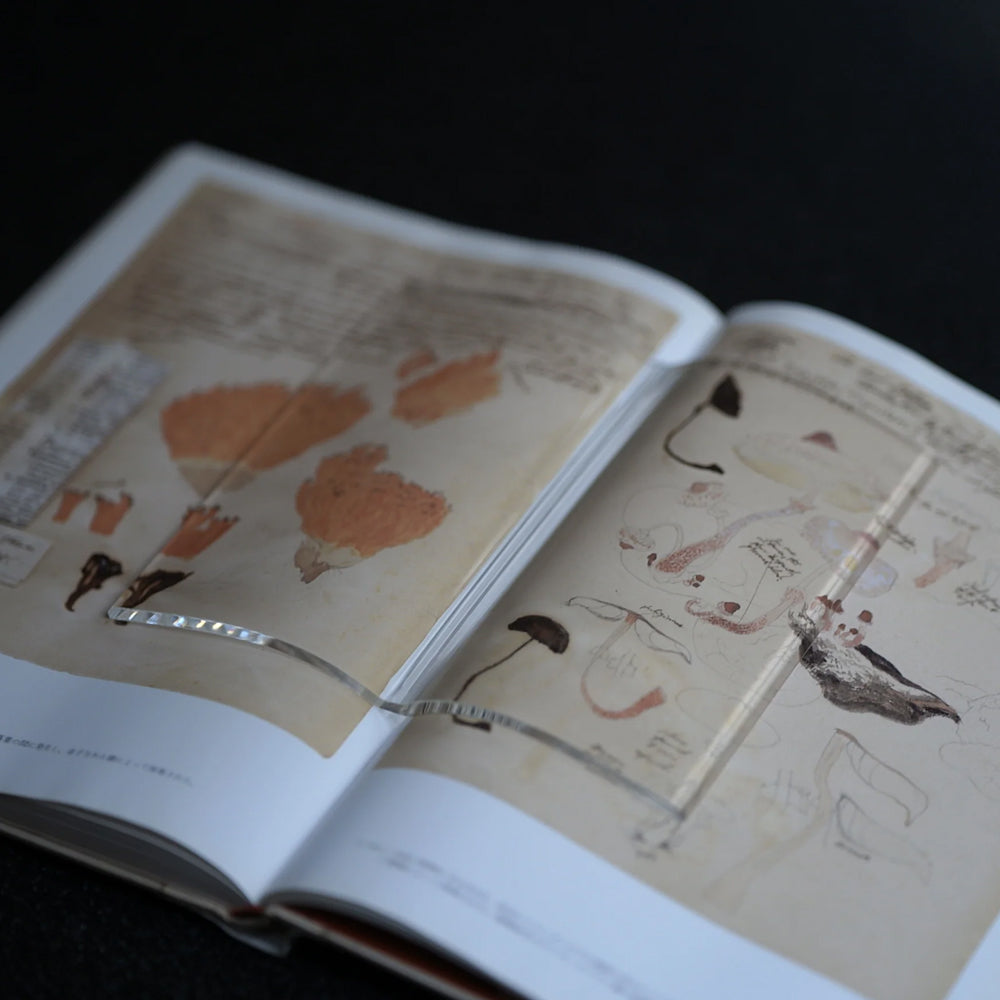 T-879 | TENT BOOK on BOOK 書鎮