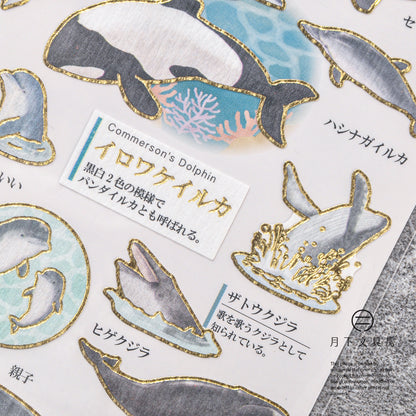 S-396 | KAMIO 大人之圖鑑貼紙 (海豚．鯨魚篇)