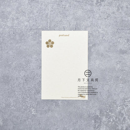 S-520 | ACTIVE CORPORATION x 梅屋 名信片 (招財貓)