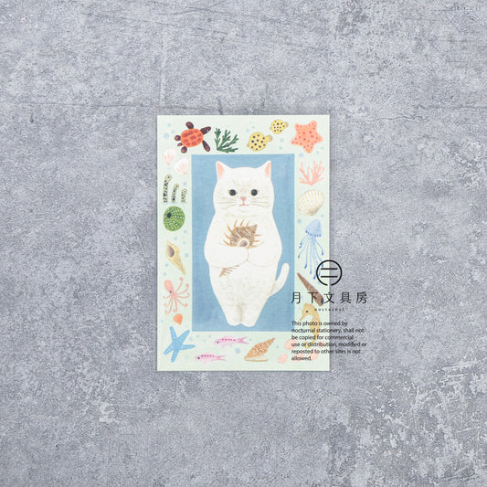 S-529 | 4legs 繪本中的貓 明信片 (白貓)