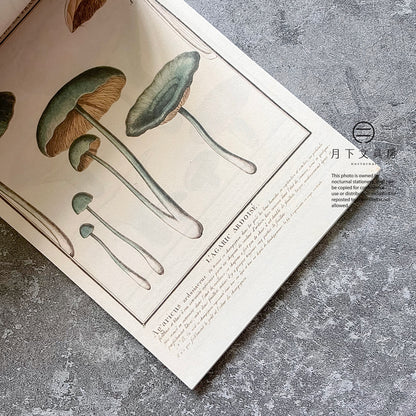 B-45 | 100 WRITING & CRAFTING PAPERS OF MUSHROOMS