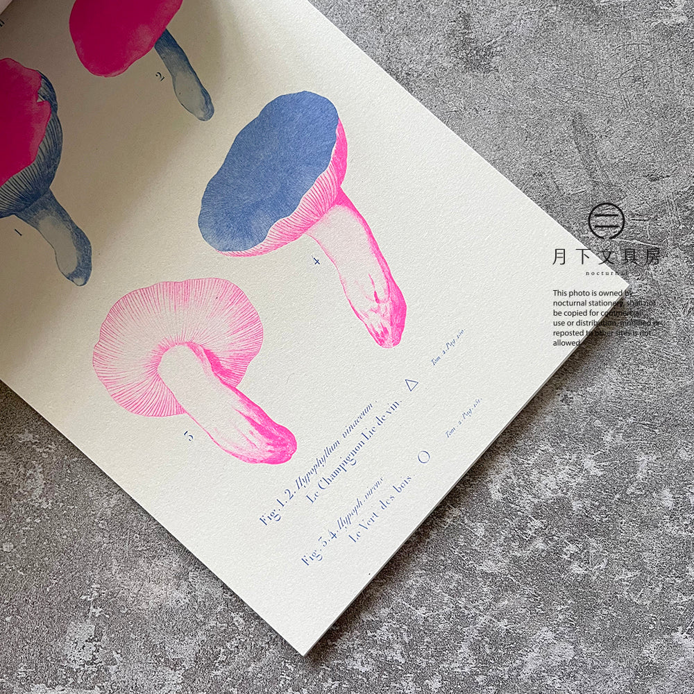 B-45 | 100 WRITING & CRAFTING PAPERS OF MUSHROOMS