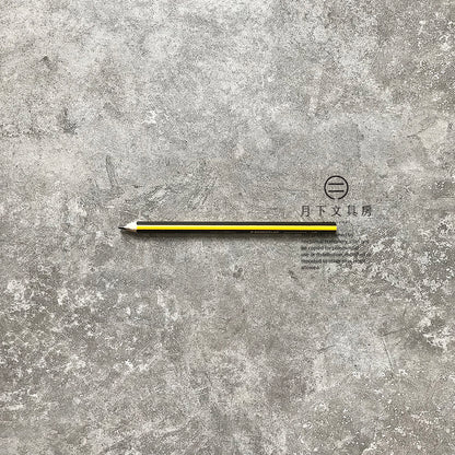 P-22 | STAEDTLER Noris jumbo 119 三角特粗鉛筆 (HB)